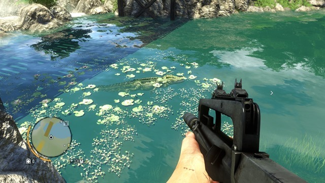 Far Cry 3 05