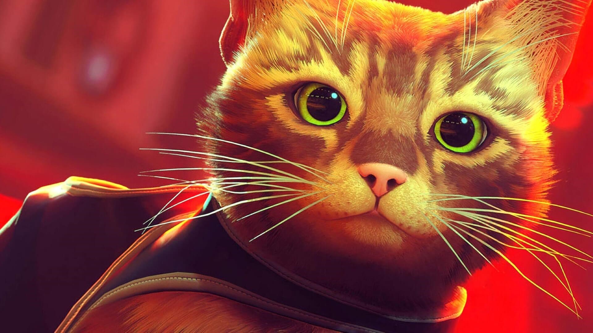 Conheça os gatos da vida real nos bastidores do jogo Stray